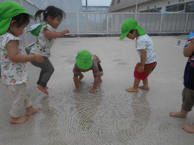 2歳1