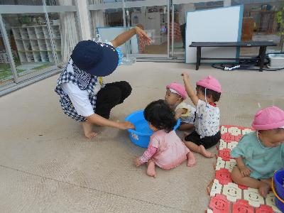 たんぽぽ