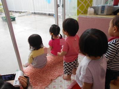 雨を見て