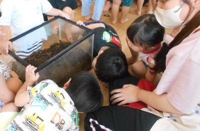 土を入れ替えたよ