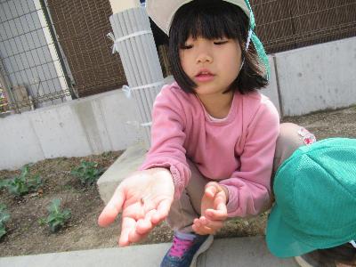 虫探し