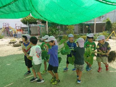 枯れたひまわりを大人数で部屋まで運んでいます