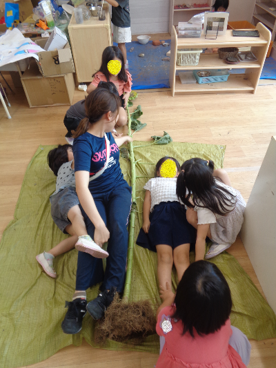 ひまわりと背比べをする子ども達