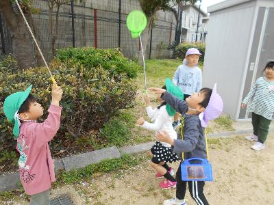 サクラ拾い