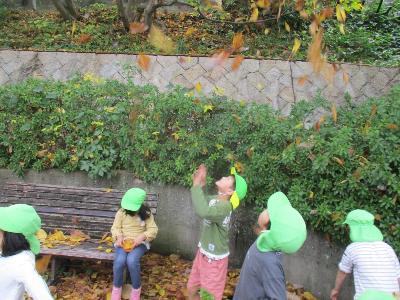 紅葉投げる