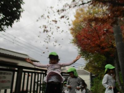 もみじ投げる