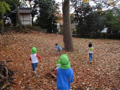 落ち葉に駆け出す