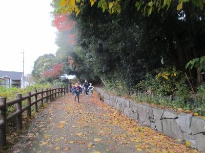 落ち葉のシャワー