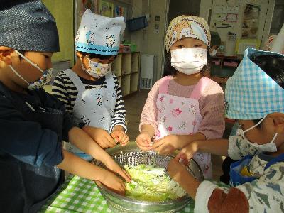白菜ちぎる