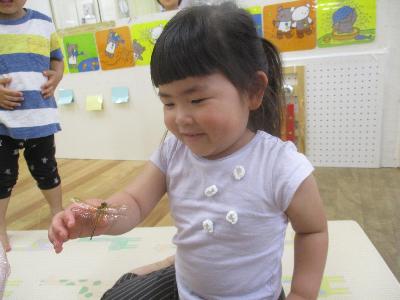 子どもにトンボがとまる