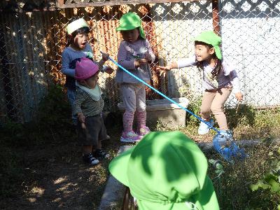 網を持つ