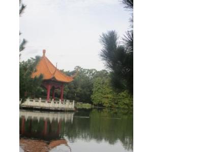 緑が丘公園