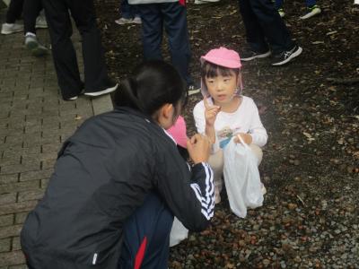 お姉ちゃんと一緒にどんぐり拾い