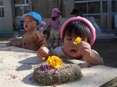 花を見つめる