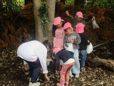築山でどんぐり拾い