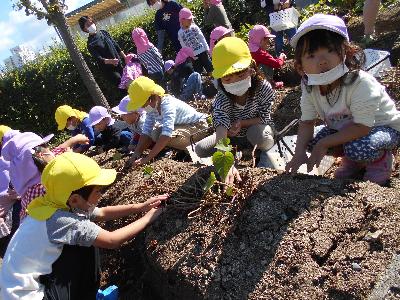 令和3年10月20日土の芋