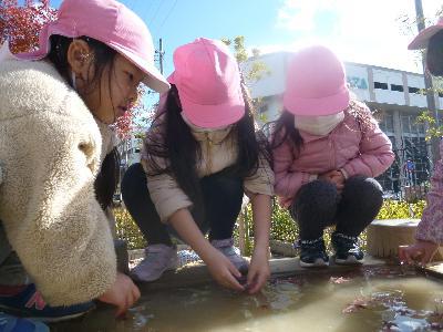 令和3年12月1日もみじみつけた