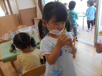 令和3年6月6日たんぽぽ願い