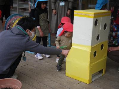 パパとたまころがし