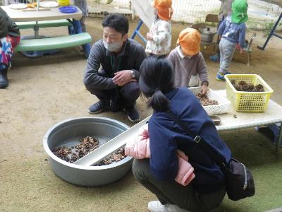 転がすから見ててね