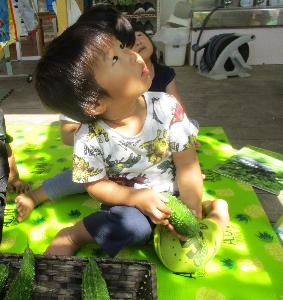 野菜を見ている子ども