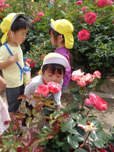 花の匂いを嗅ぐ子ども