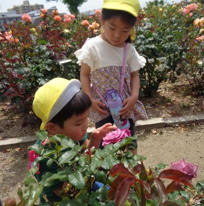 花を触る子ども