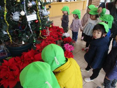 ツリーの前の2歳児