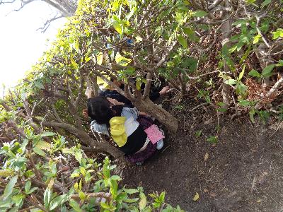 植込みの中にいる子ども