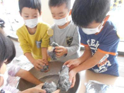 5歳イモ巻き