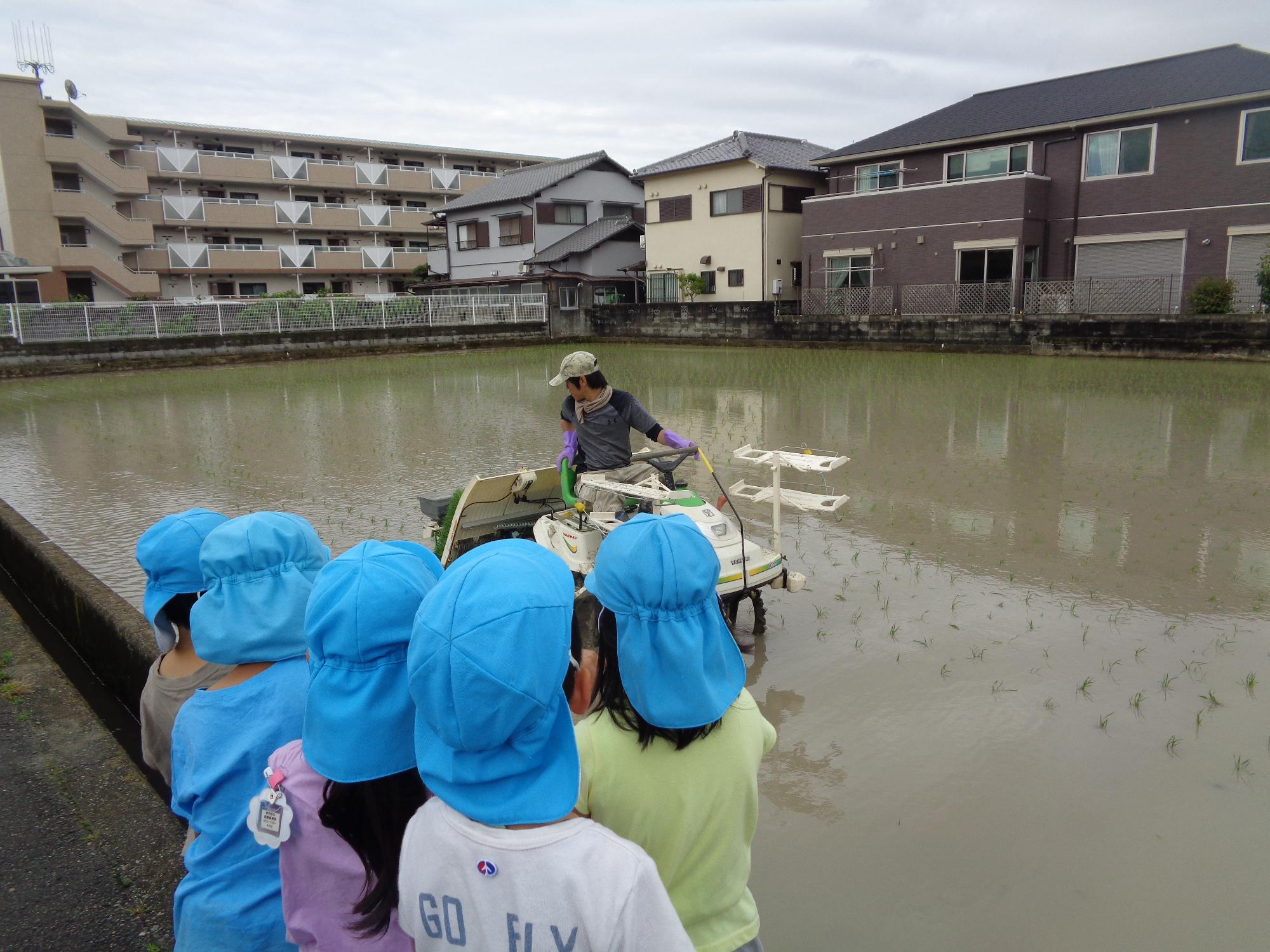 田植え機を見る子ども