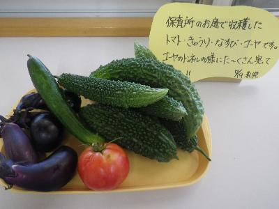 園庭の野菜