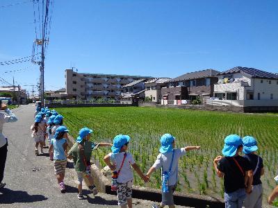 田んぼを見る子ども