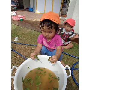 葉っぱのスープ2