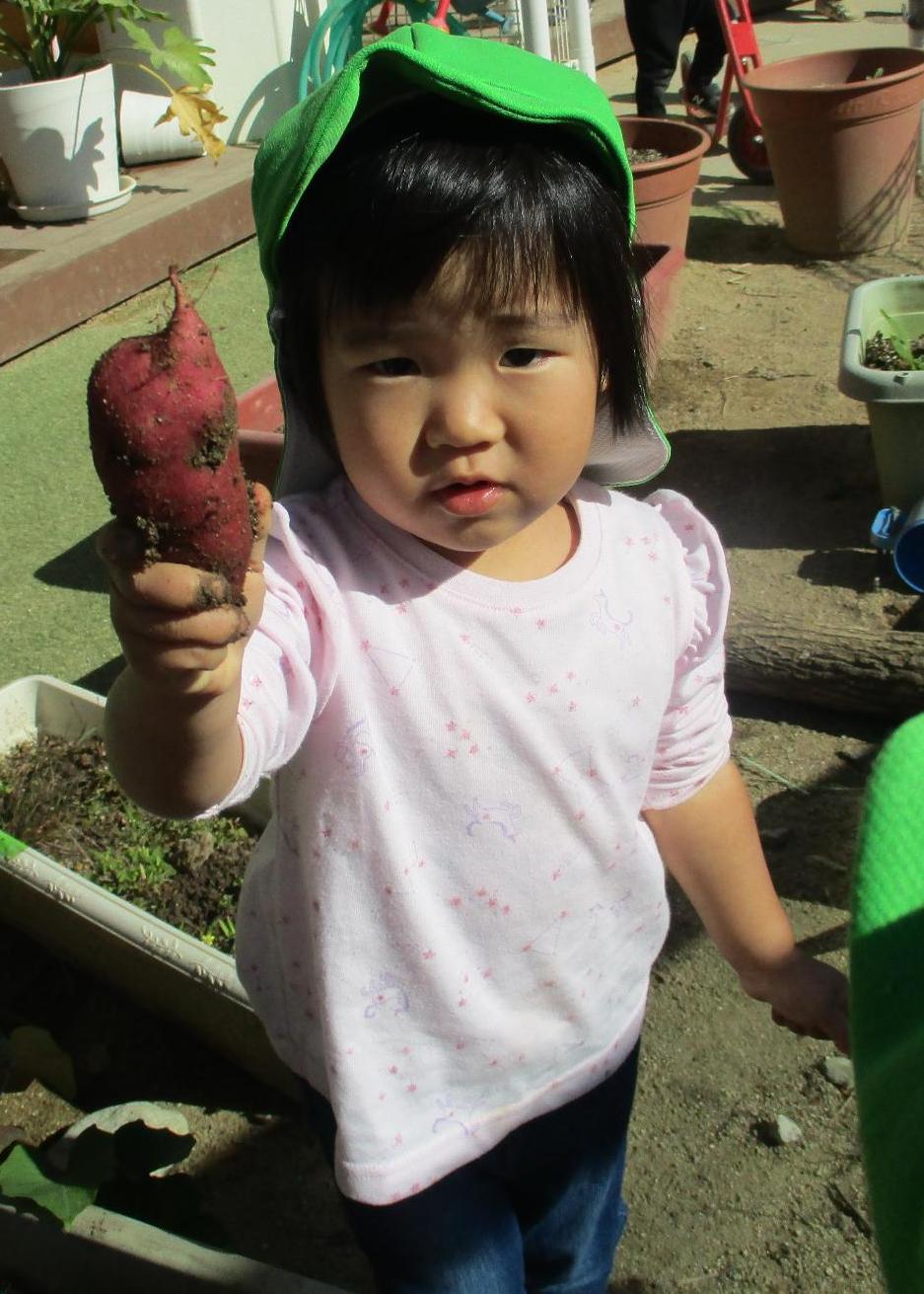 イモを持つ子ども