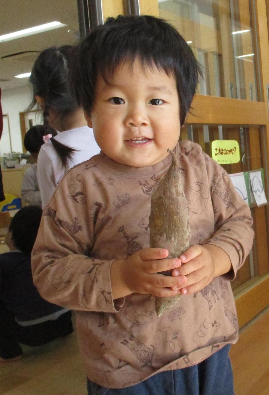 イモを持っている子ども