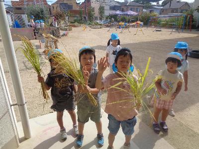 稲を刈る子