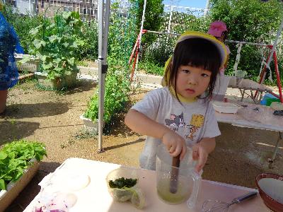 葉っぱを使って色水作り