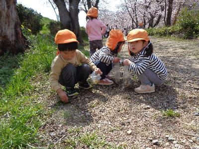 夢中になって石を拾っています。