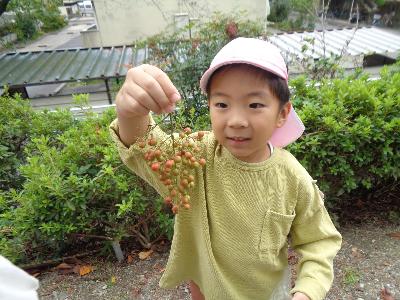 木の実を見る子ども