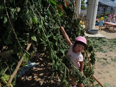 葉っぱの屋根の出来上がり