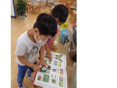 図鑑で調べる子ども