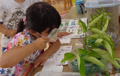虫眼鏡で観察する子ども