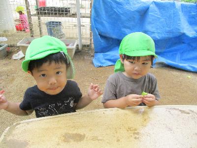 きゅうりを食べる子ども2