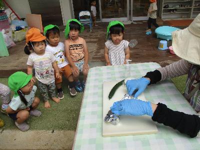 野菜を切っている様子を見ている子ども