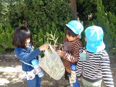 葉っぱを集める子