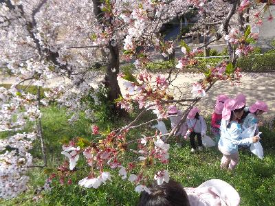 お花見散歩