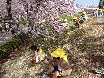 桜の木の下で、土手滑りをしている子ども