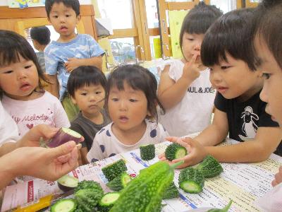 野菜を切っている様子を見ている子ども