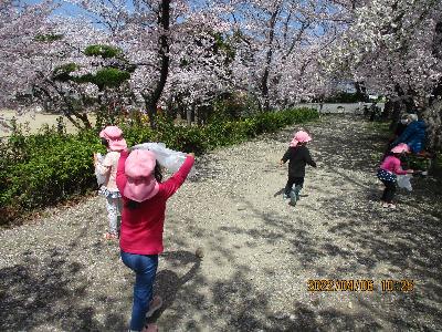 桜を捕まえようとしている子ども